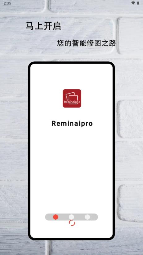 Reminaipro软件