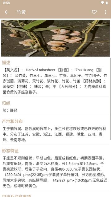 中草药宝典大全软件 中草药宝典大全软件