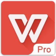 WPS Office政务版v11.4.1.6 免激活免更新版