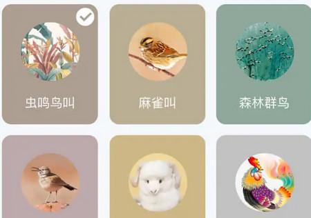 宝耳煲机app