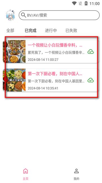 b站视频下载器(BVD) b站视频下载器(BVD)