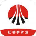 红柳林矿业