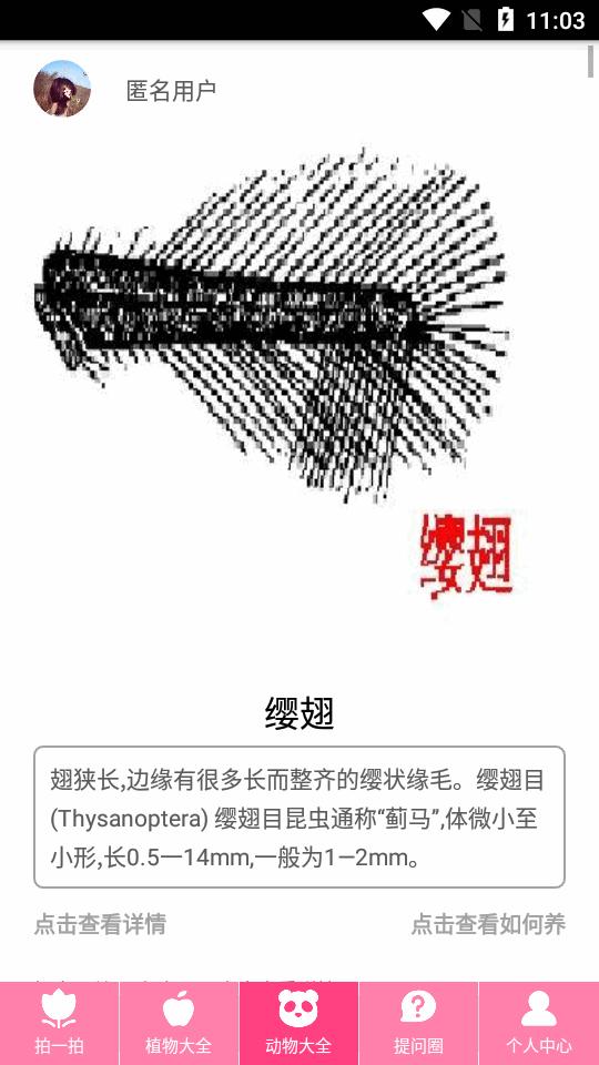 拍照识物免费软件v3.1.9 手机会员版 v5.5.4