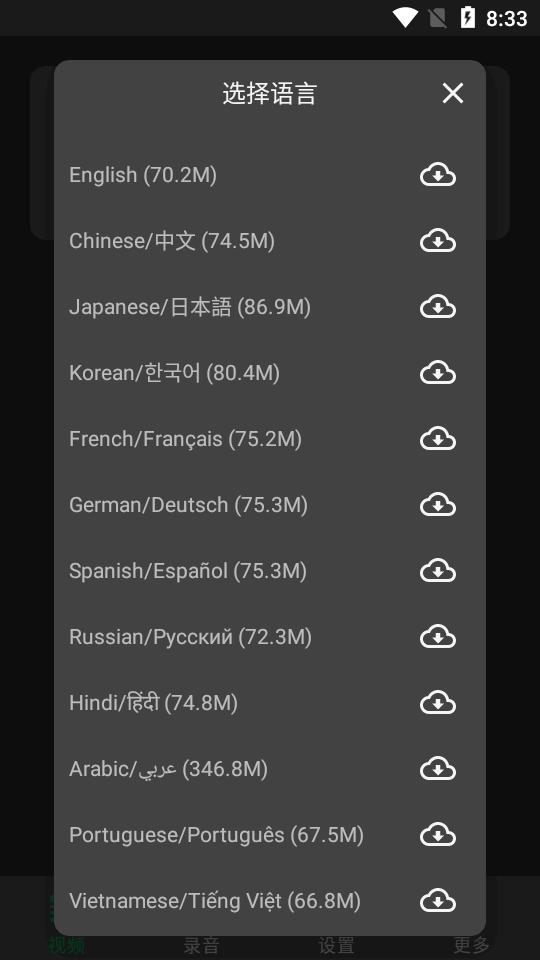 实时字幕翻译软件(Live Caption)