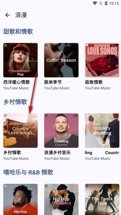 Metrolist音乐软件