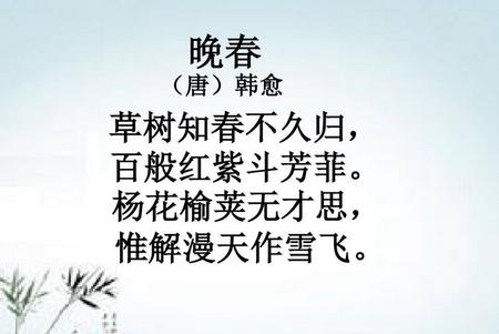 斑马古诗
