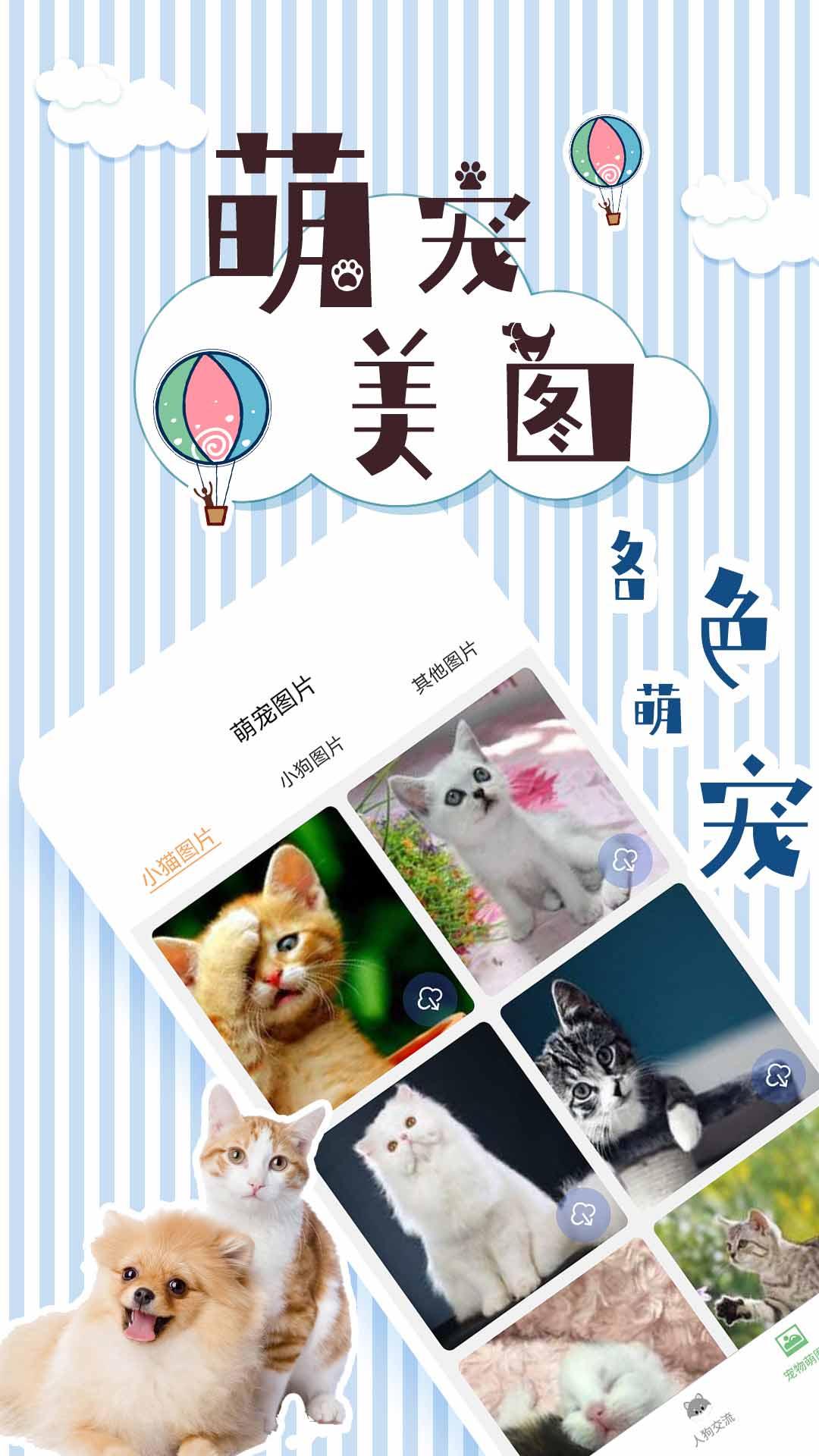 人猫翻译交流器app1.9.4 安卓版 v6.5.2