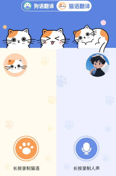 小白交流翻译app