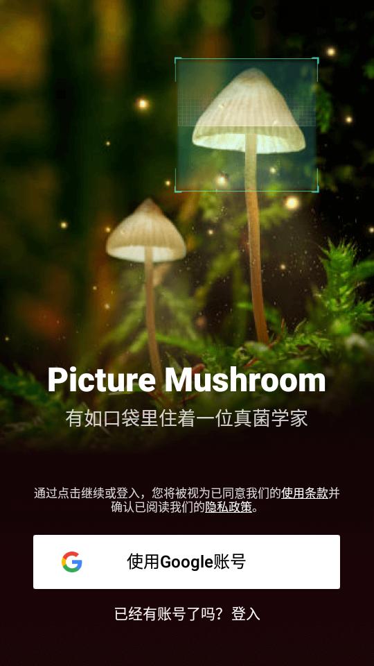 拍照识蘑菇Picture Mushroom免费版 拍照识蘑菇Picture Mushroom免费版