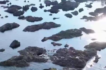 海月新闻app官方正版下载