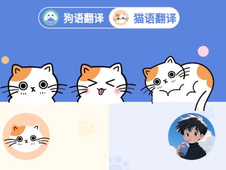 小白交流翻译app