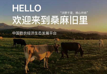 桑麻旧里app安卓版 桑麻旧里app安卓版