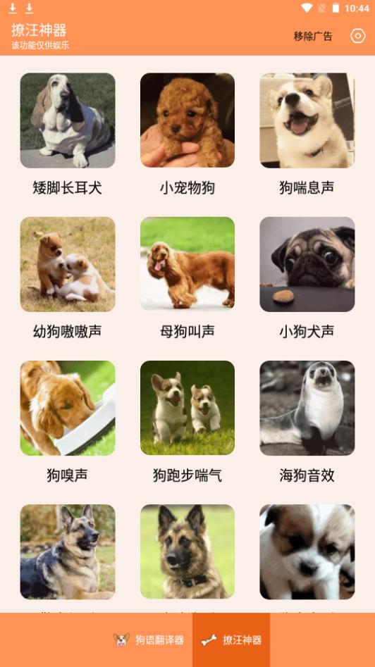人狗交流器app最新版