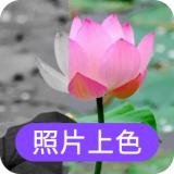 数创照片上色