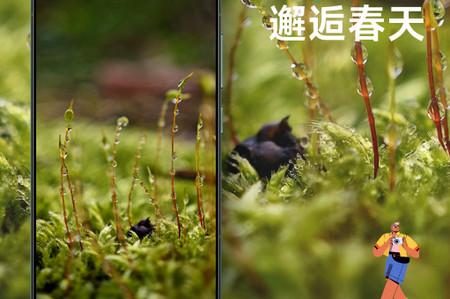 小米社区官方论坛