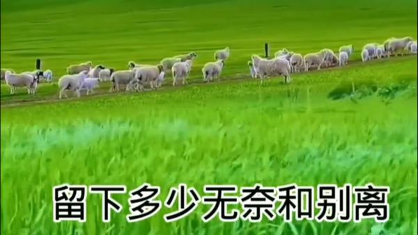微众tv电视版 微众tv电视版