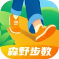 森野步数