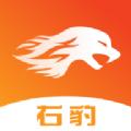 右豹