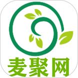 麦聚网
