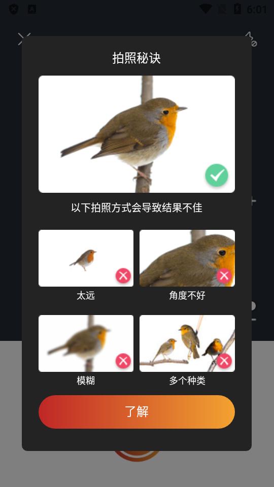 拍照识鸟(Picture Bird)2.9.26 高级会员免费版 v5.3.4