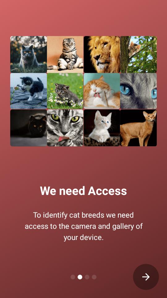 猫咪鉴定器app 猫咪鉴定器app
