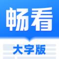 畅看大字版