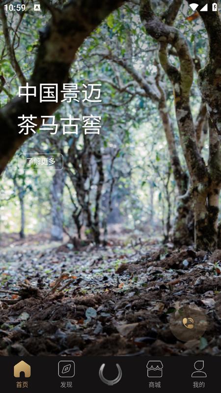茶马古窖app