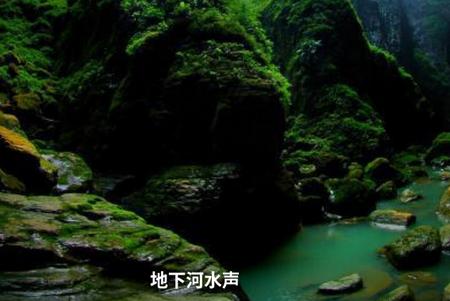 睡眠监测助手最新版