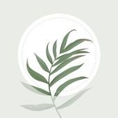 繁花盛开Blossom植物识别软件1.53.0 最新版