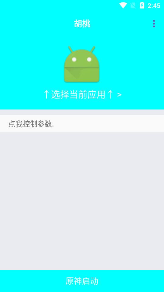 胡桃弱网内置参数版v4.0 免更新高级版 v5.5.2