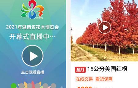 苗木通app 苗木通app