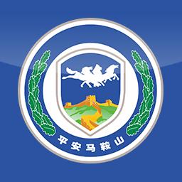 平安马鞍山信息化平台vmassgtzzv4.3.7.19 最新版