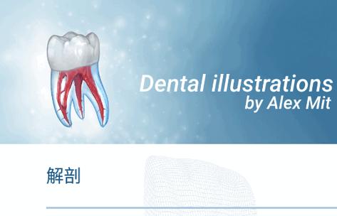 牙科3D插图免费版(Dental Illustrations)