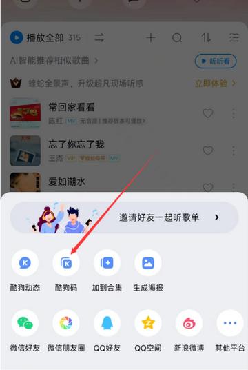 KK Player音乐安卓版