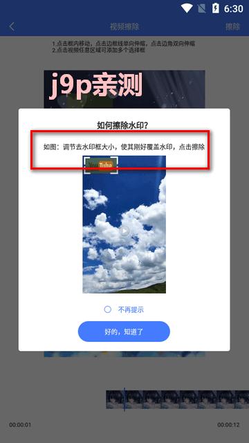 视频去水印大师app高清版