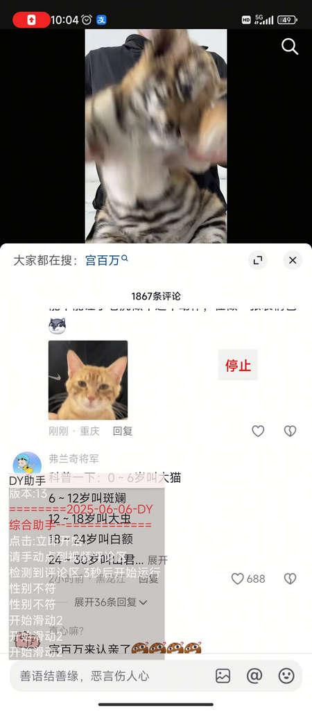 DY综合助手