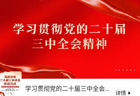 大美肥东手机最新版