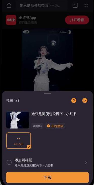 X下载器播放器(x downloader)