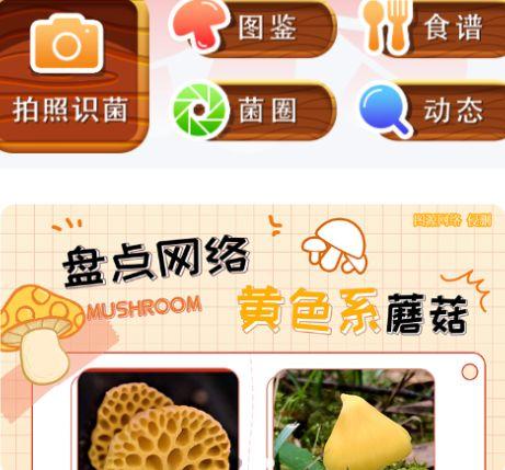菌窝子app官方版安卓