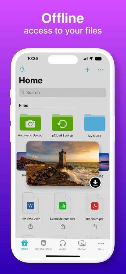 pCloud软件官方正版v4.4.4 安卓版 v5.2.4