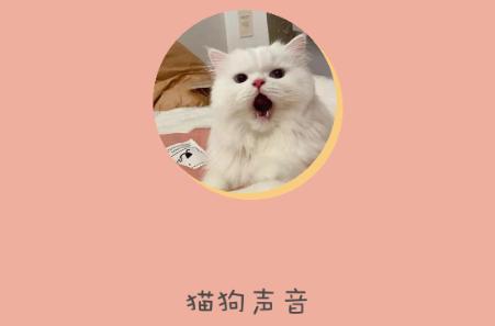 哆啦猫狗翻译器app免费版 哆啦猫狗翻译器app免费版