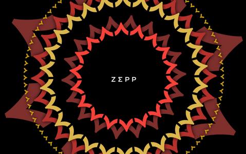 Zepp健康管理平台 Zepp健康管理平台