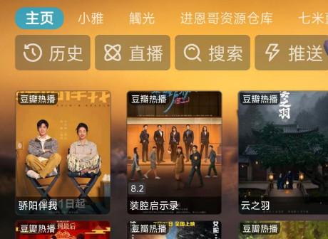 TVBox(进恩哥版)手机版内置源