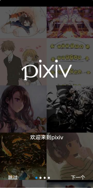 P站pixiv会员版app最新版