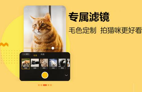 爪叽APP