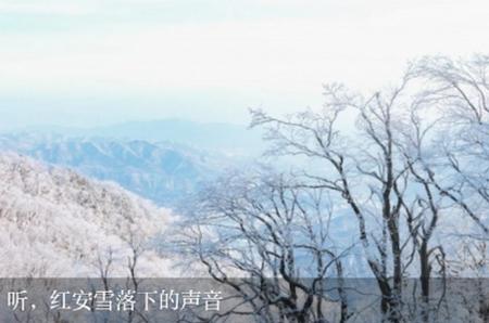 最红安手机客户端