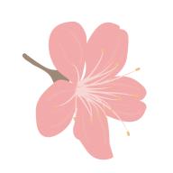 Pixiv Artvierv0.4.5 最新版