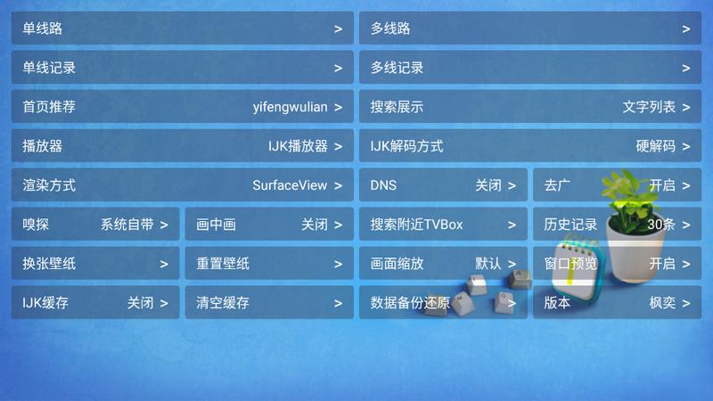 枫奕TV Pro版v912246146 最新版 v3.3.3