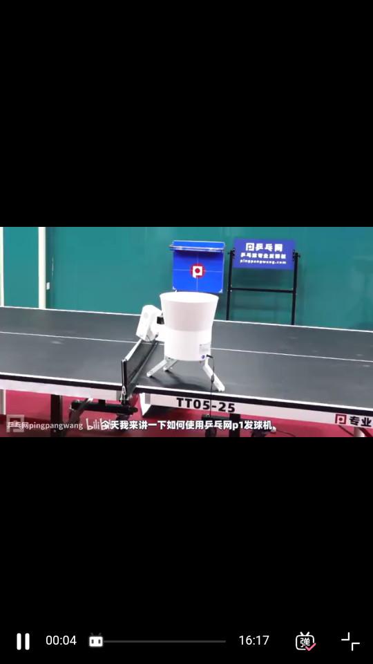 乒乓网手机最新版