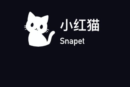 小红猫宠物写真